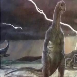 Meet your Posher, Miguel